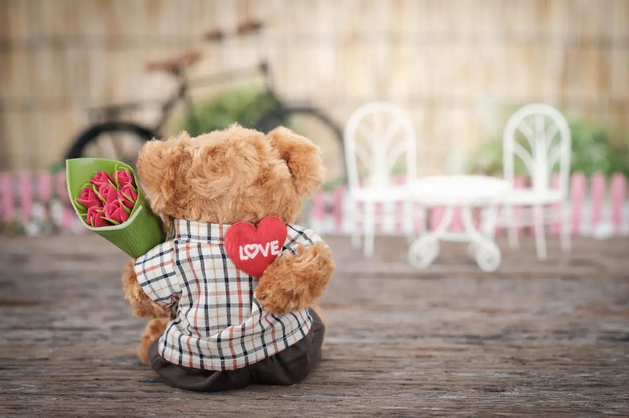 Valentines Day Gifts: Surprises That Speak Love